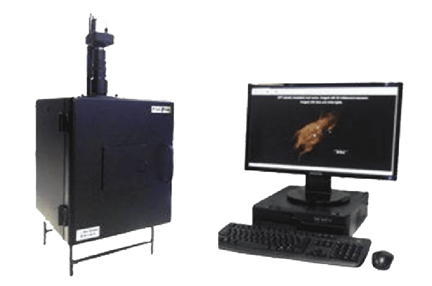 INDEC FluorVivo INDEC FluorVivo