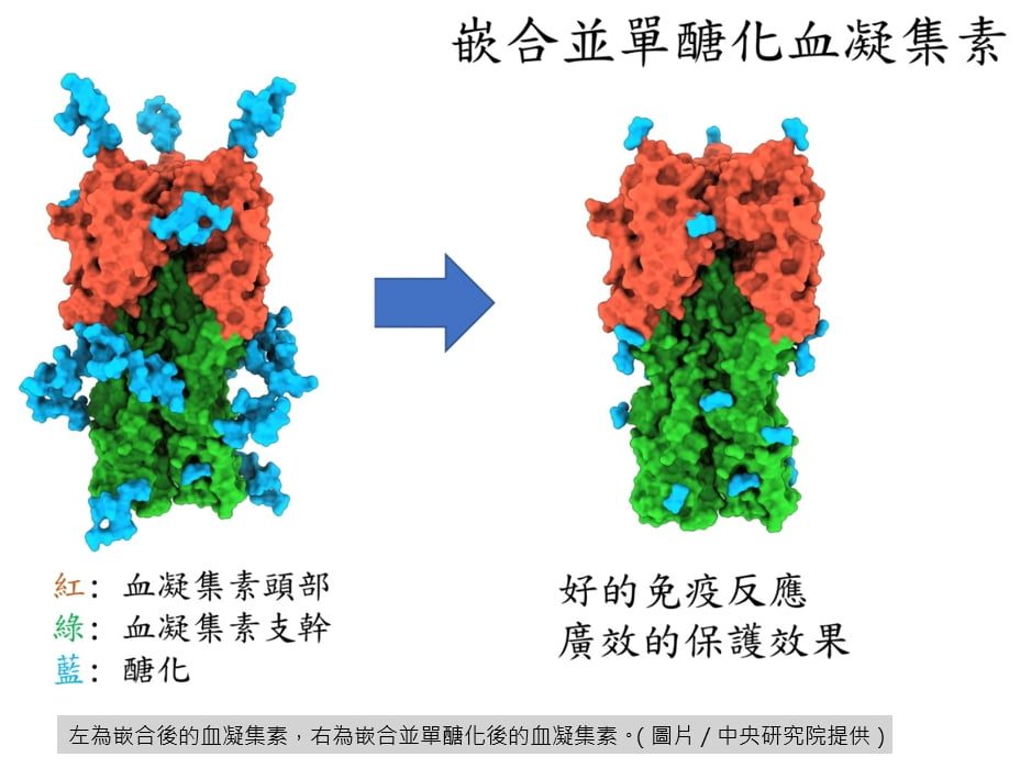 2020 grc elispot assays 01