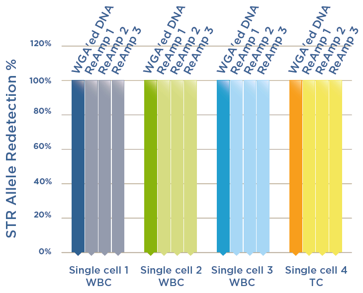 Ampli1 ReAmp ds Kit Effect2 Ampli1 ReAmp ds Kit Effect2