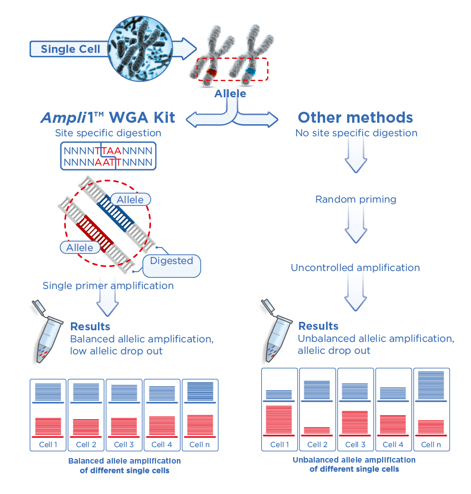 Ampli1 WGA Kit Comparison Ampli1 WGA Kit Comparison
