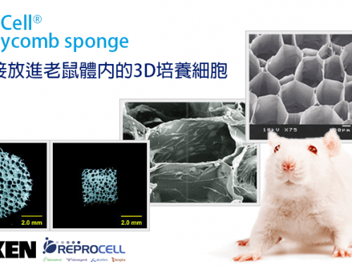 [新品上市] KOKEN AteloCell® Honeycomb 能直接放進老鼠體內的3D培養細胞