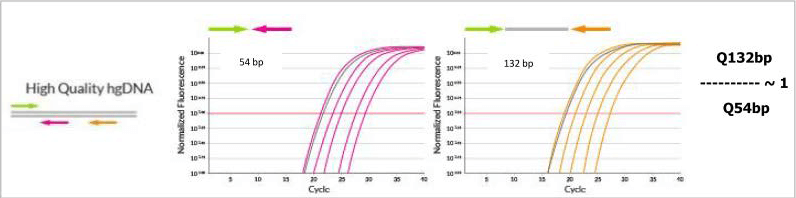 DEPArray FFPE QC Kit Pic01 DEPArray FFPE QC Kit Pic01