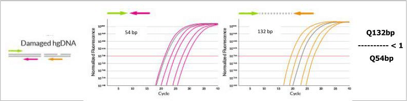 DEPArray FFPE QC Kit Pic02 DEPArray FFPE QC Kit Pic02
