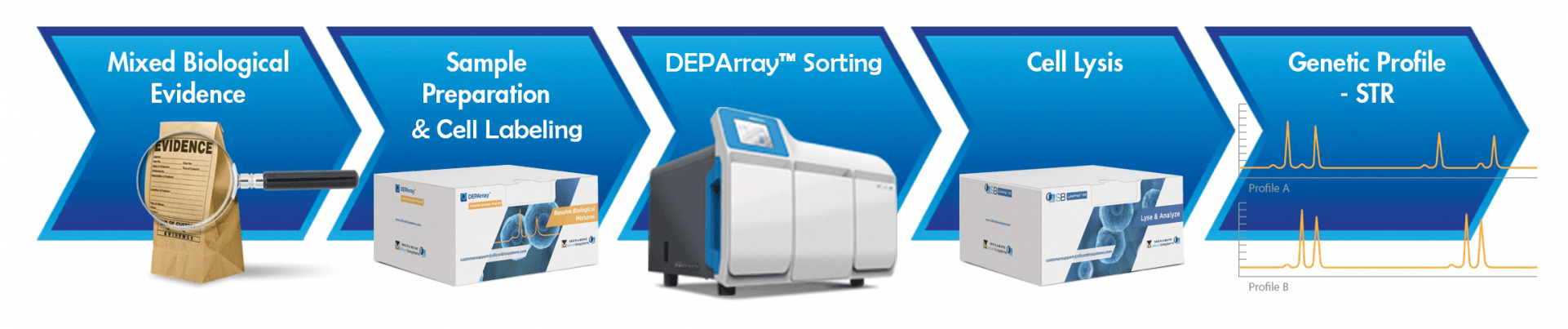 DEPArray Forensic Workflow e1626692178927 DEPArray Forensic Workflow e1626692178927