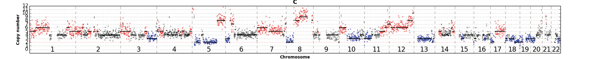 FFPE sample isolated WGA 01 FFPE sample isolated WGA 01