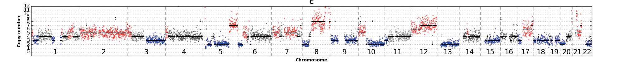 FFPE sample isolated WGA 02 FFPE sample isolated WGA 02