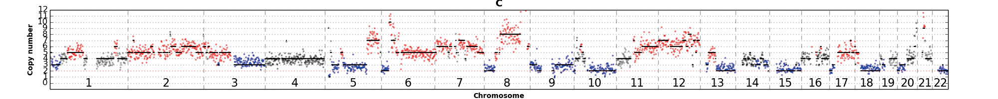 FFPE sample isolated WGA 03 FFPE sample isolated WGA 03