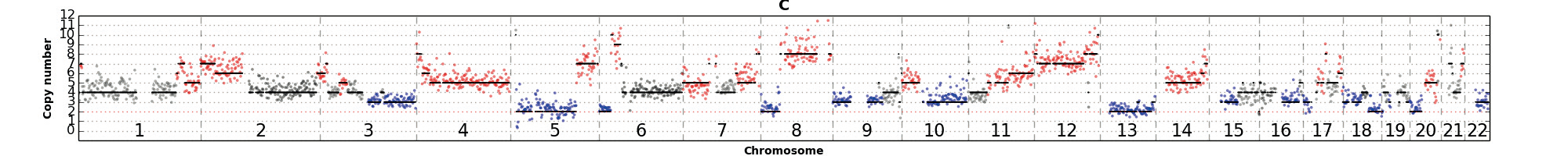 FFPE sample isolated WGA 04 FFPE sample isolated WGA 04