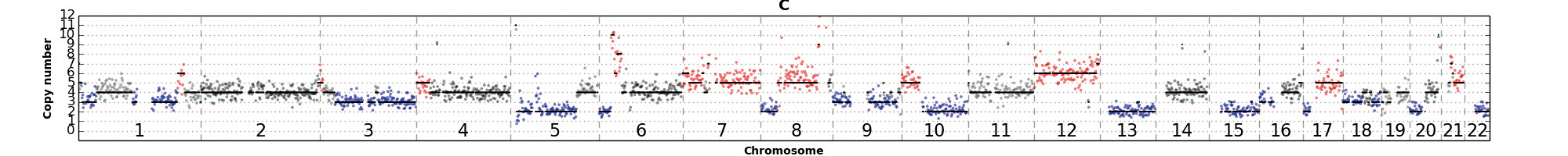 FFPE sample isolated WGA 05 FFPE sample isolated WGA 05