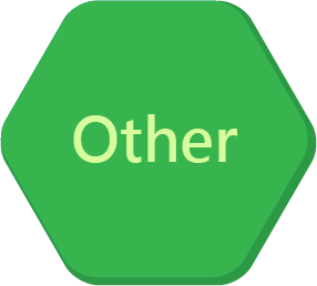Other Other