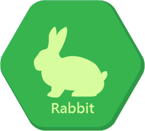 Rabbit Rabbit