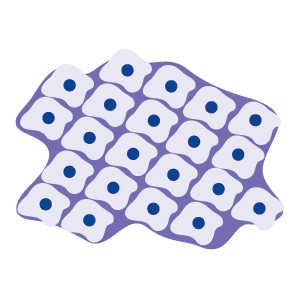 alvetex body cell power 04 alvetex body cell power 04