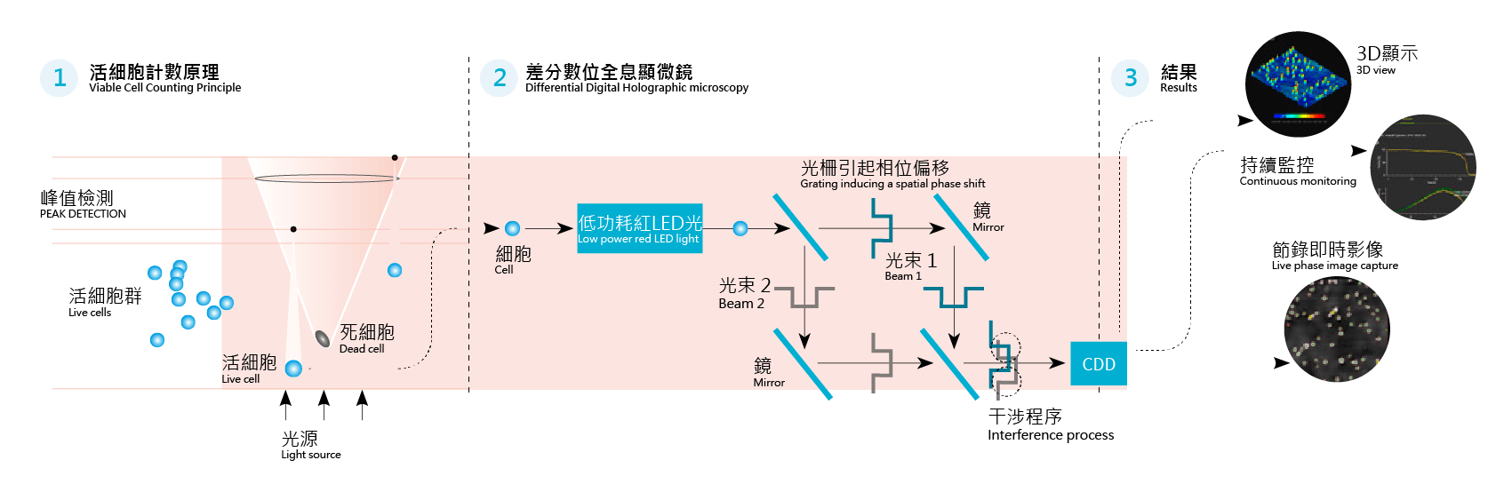 iLine F Real Time Cell Analytics iLine F Real Time Cell Analytics