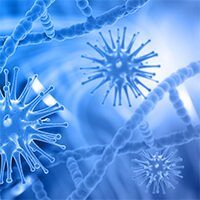 image several makers image several makers