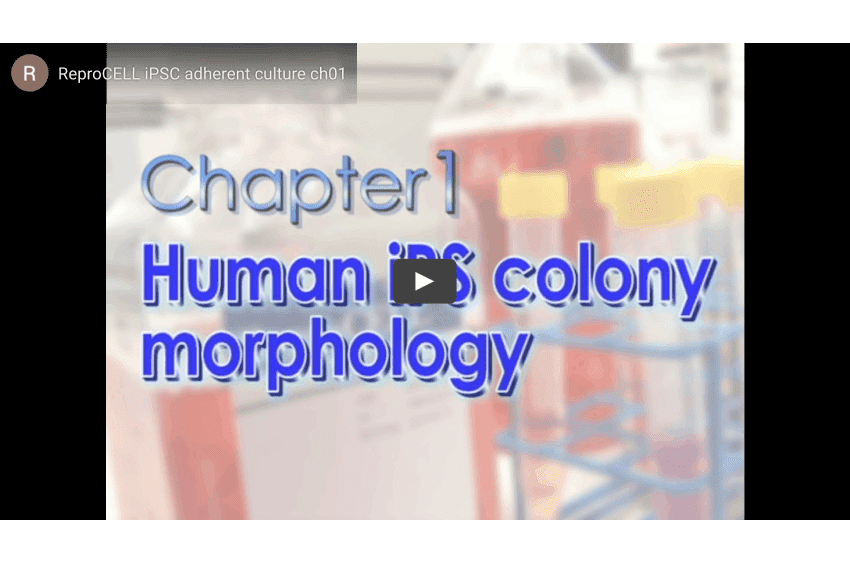 post 2176 01 post 2176 01