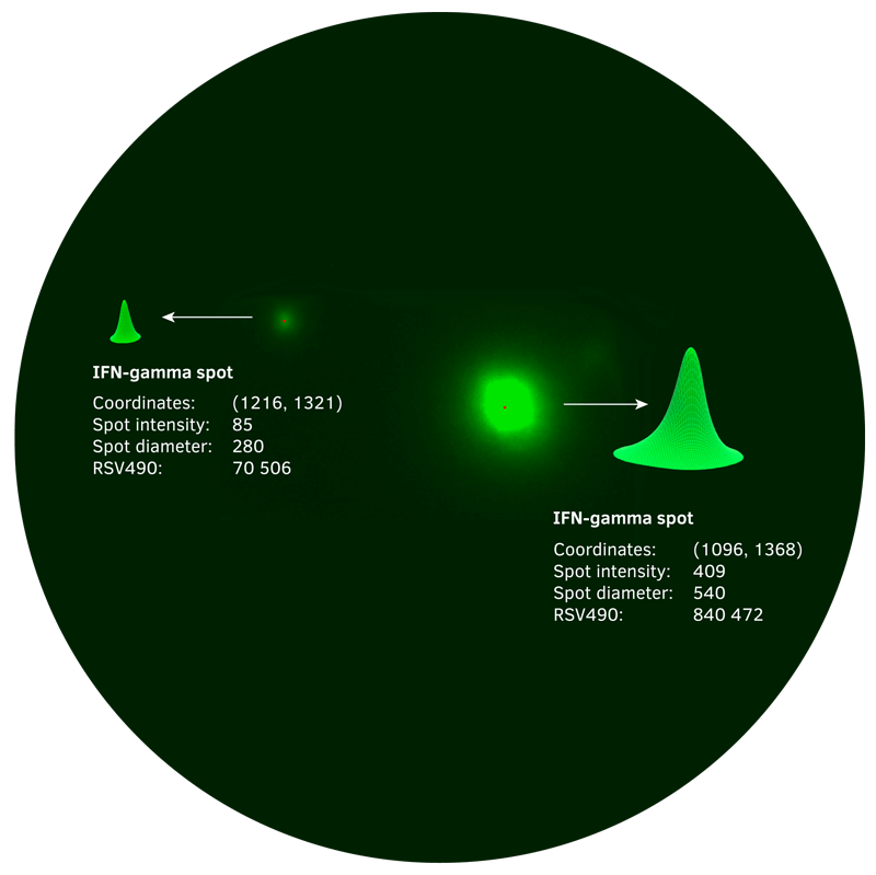 rawspot relative amount rawspot relative amount