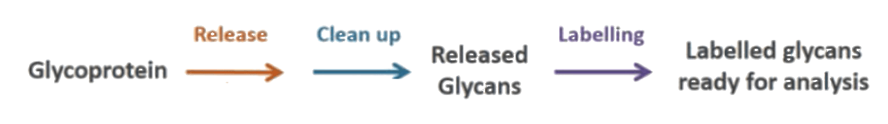 02 Worklfow 02 Worklfow