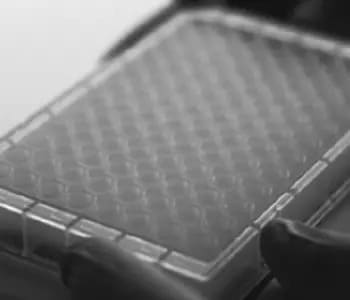 07 PBM 96 well clean up plate 07 PBM 96 well clean up plate