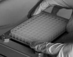 08 Procainamide clean up plate 08 Procainamide clean up plate