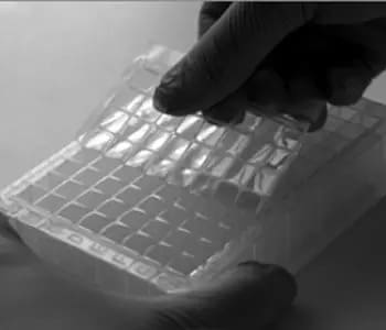 09 pre Permethlation clean up plate 09 pre Permethlation clean up plate