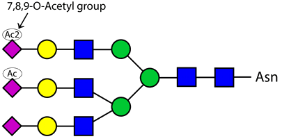 15 LudgerZymeAcetyl esterase sialate O acetylesterase kit 15 LudgerZymeAcetyl esterase sialate O acetylesterase kit