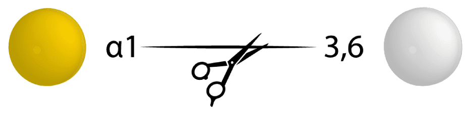 18 α1 36 galactosidase 18 α1 36 galactosidase