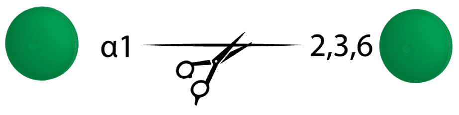 20 α1 236 mannosidase 20 α1 236 mannosidase