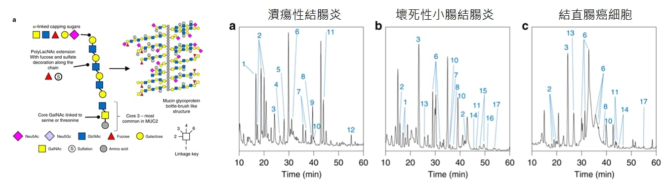 29 疾病研究 2020 Nature Communication 29 疾病研究 2020 Nature Communication