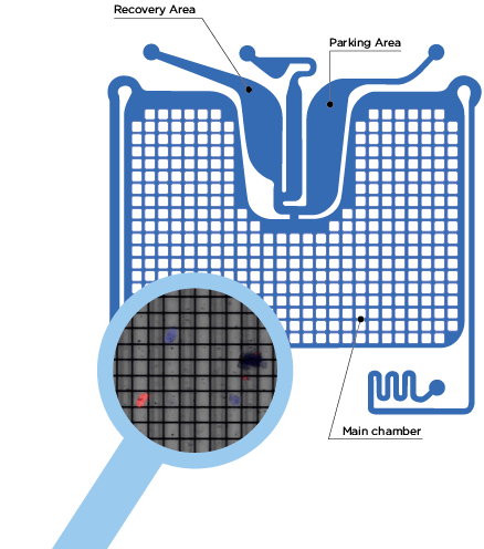 DEPArray NxT High definition DEPArray NxT High definition