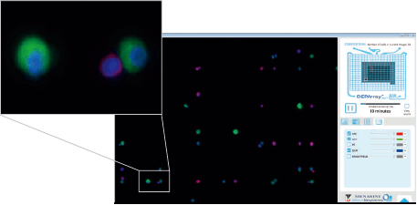 DEPArray NxT High resolution DEPArray NxT High resolution