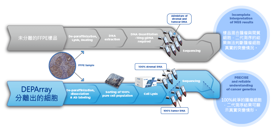 DEPArray NxT app FFPE Workflow Different v2 DEPArray NxT app FFPE Workflow Different v2