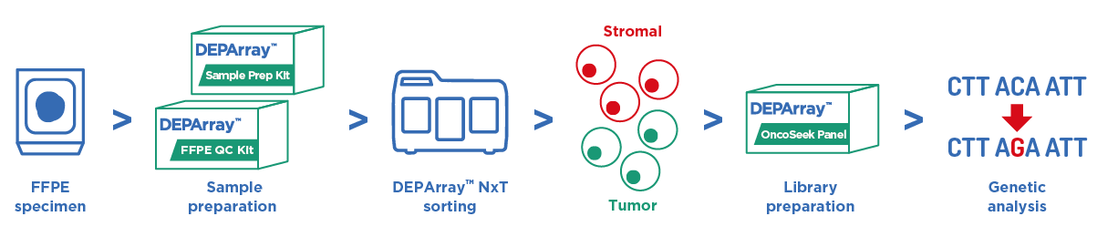 DEPArray NxT app FFPE Workflow DEPArray NxT app FFPE Workflow