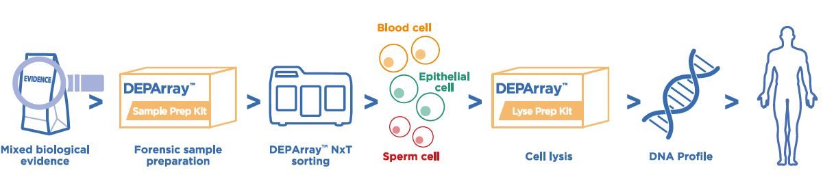 DEPArray NxT app forensic Workflow DEPArray NxT app forensic Workflow