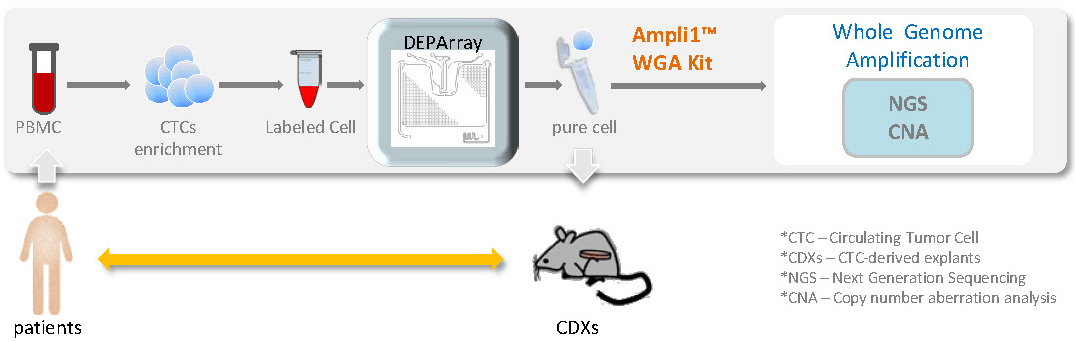 DEPArray app cancer experiment design DEPArray app cancer experiment design