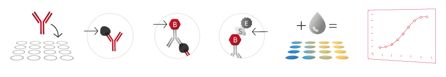 Elisa Step Elisa Step