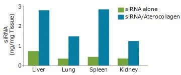 RS03 transfection kit fig01 RS03 transfection kit fig01