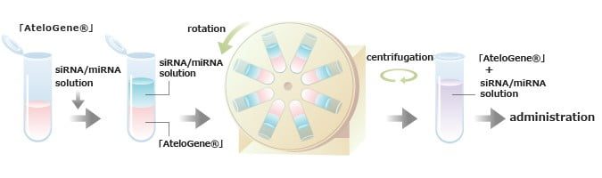 RS03 transfection kit pic03 RS03 transfection kit pic03