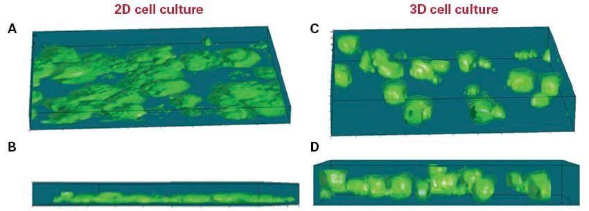 RS06 alvetex pic02 RS06 alvetex pic02