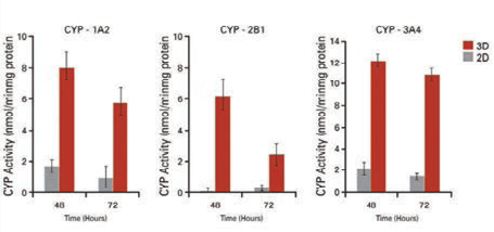 RS06 alvetex pic04 RS06 alvetex pic04