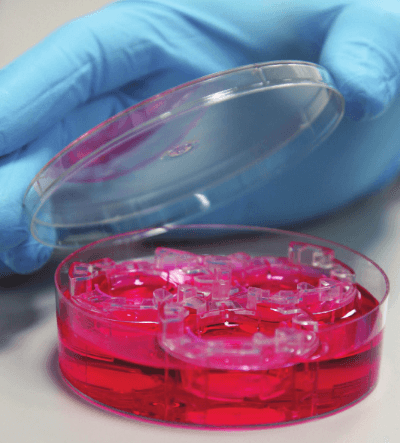 RS06 alvetex pic06 RS06 alvetex pic06