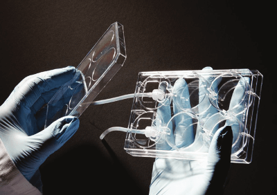 RS06 alvetex pic07 RS06 alvetex pic07