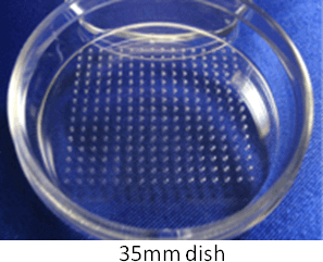 RS08 ezsphere pic03 RS08 ezsphere pic03