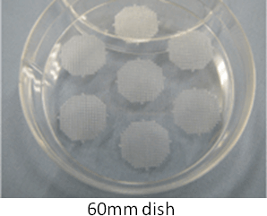 RS08 ezsphere pic04 RS08 ezsphere pic04