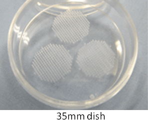 RS08 ezsphere pic05 RS08 ezsphere pic05