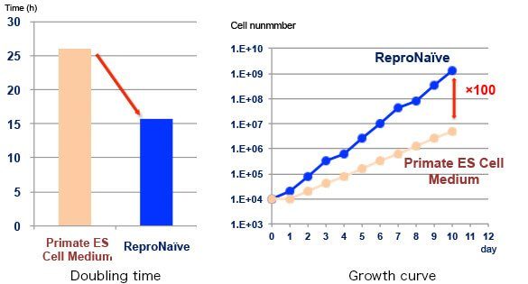 RS11 repronaive pic02 RS11 repronaive pic02