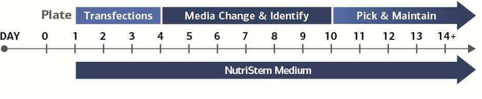 RS56 StemRNA NM Reprogramming Kit Timeline RS56 StemRNA NM Reprogramming Kit Timeline