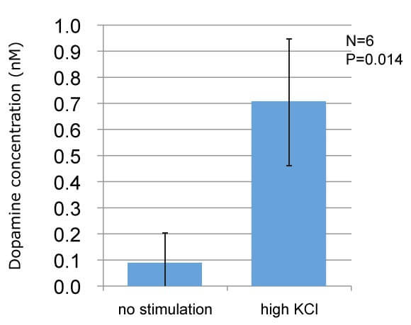 ReproNeuro Dopamine ReproNeuro Dopamine