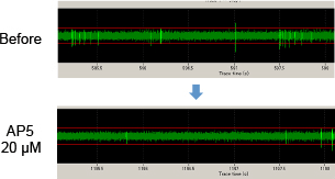 ReproNeuro MQ medium Fig07 ReproNeuro MQ medium Fig07