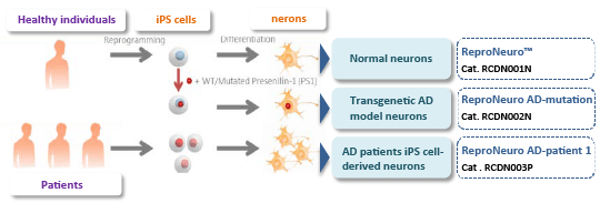 ReproNeuro image ReproNeuro image