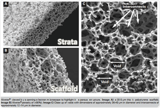alvetex scaffold strata different alvetex scaffold strata different